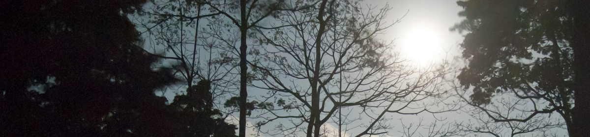 The Krononaut Moon Project