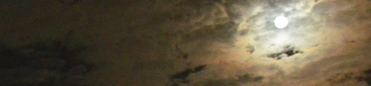 The Krononaut Moon Project